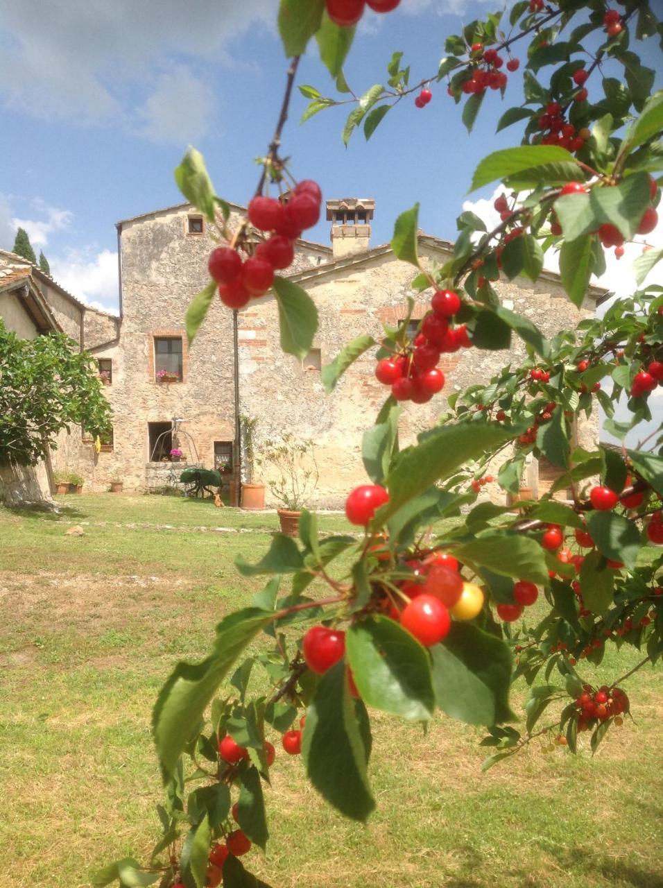 La Canonica Di San Michele Monteriggioni Exterior photo